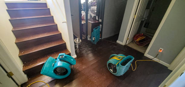 Best Commercial water damage restoration  in Vley Grande, AL