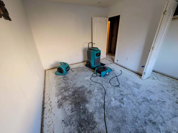 Best Mold removal after water damage  in Vley Grande, AL
