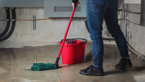 Best Water damage restoration experts  in Vley Grande, AL