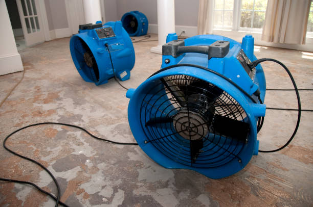 Best 24/7 water damage repair  in Vley Grande, AL