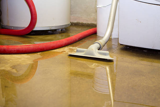 Best Water damage cleanup near me  in Vley Grande, AL