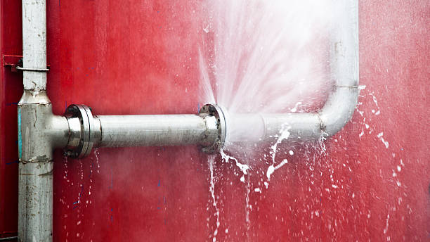 Best Flood restoration services  in Vley Grande, AL